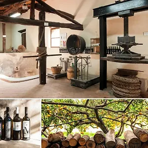  Alloggio per agriturismo Vasari